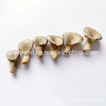 Wholesale High Quality Vacuum Fried Foods Vf Oyster Mushroom